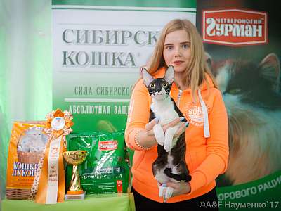 �������� �����  20-21 ������� 2018 �. 2-92-0407.jpg