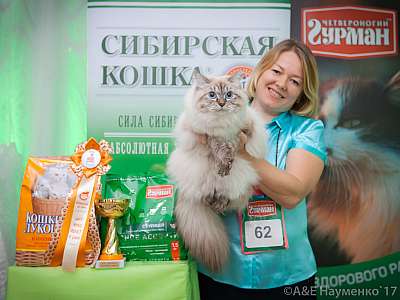 �������� �����  20-21 ������� 2018 �. 5-62-0404.jpg