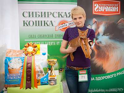 �������� �����  20-21 ������� 2018 �. 10-71-0201.jpg