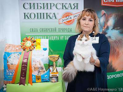 �������� �����  20-21 ������� 2018 �. 2-54-0209.jpg