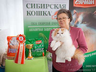 �������� �����  20-21 ������� 2018 �. 10-143-0334.jpg