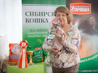 �������� �����  20-21 ������� 2018 �. 2-123-0333.jpg