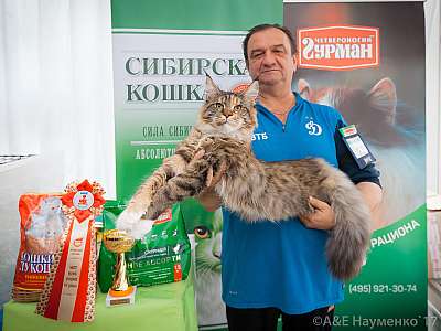 �������� �����  20-21 ������� 2018 �. 6-22-0338.jpg