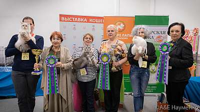 �������� ����� 13-14 ������ 2019 �. ���������� 0222.jpg