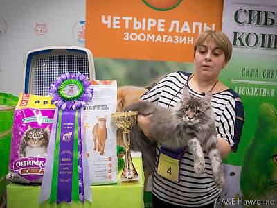 �������� ����� 13-14 ������ 2019 �. ���������� 10-4-0150.jpg