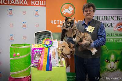 �������� ����� 13-14 ������ 2019 �. ���������� 12-94-0122.jpg