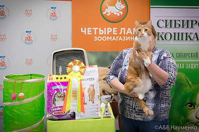 �������� ����� 13-14 ������ 2019 �. ���������� 13-105-0119.jpg