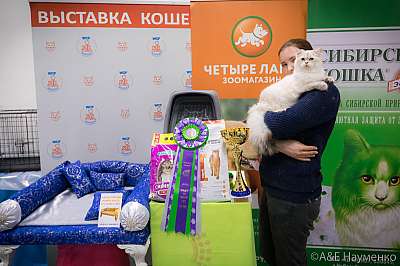 �������� ����� 13-14 ������ 2019 �. ���������� 3-41-0224.jpg