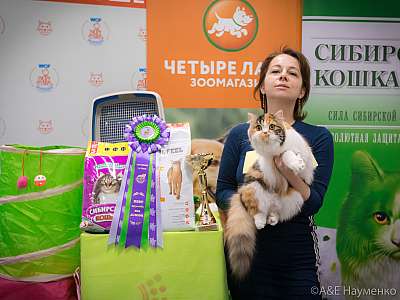 �������� ����� 13-14 ������ 2019 �. ���������� 8-39-0180.jpg