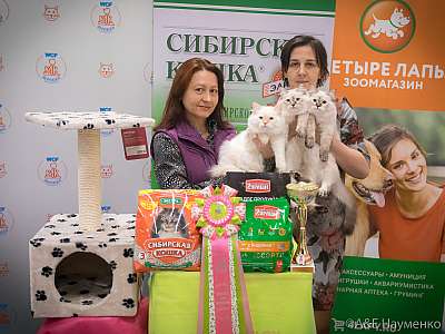 �������� ����� 13-14 ������ 2019 �. ���������� 11-49-0508.jpg