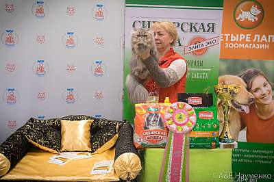 �������� ����� 13-14 ������ 2019 �. ���������� 3-97-0553.jpg