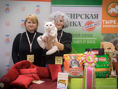 �������� ����� 13-14 ������ 2019 �. ���������� 4-70-0549.jpg