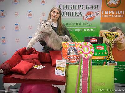 �������� ����� 13-14 ������ 2019 �. ���������� 7-32-0529.jpg