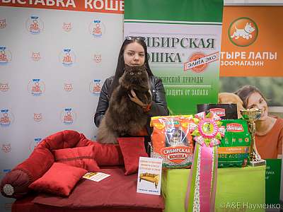 �������� ����� 13-14 ������ 2019 �. ���������� 8-37-0533.jpg