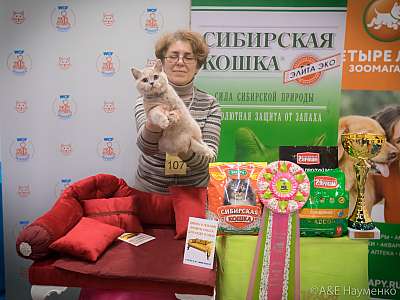 �������� ����� 13-14 ������ 2019 �. ���������� 9-107-0519.jpg