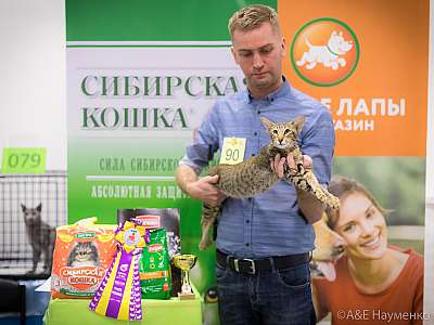 �������� ����� 13-14 ������ 2019 �. ���������� 3-90-0465.jpg