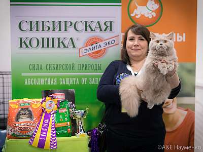 �������� ����� 13-14 ������ 2019 �. ���������� 4-38-0494.jpg