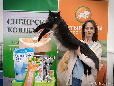 �������� ����� 13-14 ������ 2019 �. ����������  10-25-0333.jpg