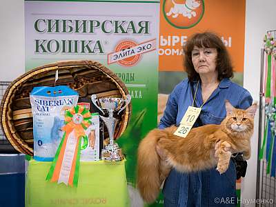 �������� ����� 13-14 ������ 2019 �. ����������  4-10-0293.jpg