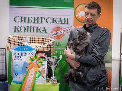 �������� ����� 13-14 ������ 2019 �. ����������  5-29-0290.jpg