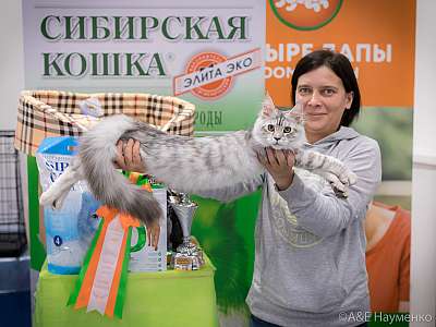 �������� ����� 13-14 ������ 2019 �. ����������  7-19-0291.jpg