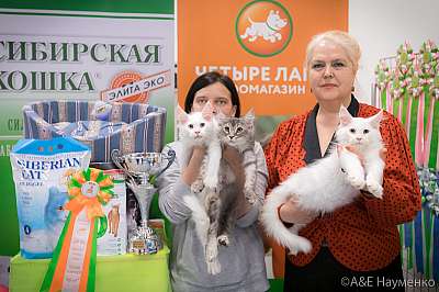 �������� ����� 13-14 ������ 2019 �. ����������  8-2-0336.jpg