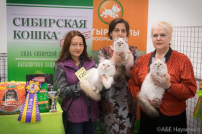 �������� ����� 13-14 ������ 2019 �. ���������� 8-49-0448.jpg