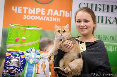 �������� ����� 13-14 ������ 2019 �. ���������� 10-68-0076.jpg