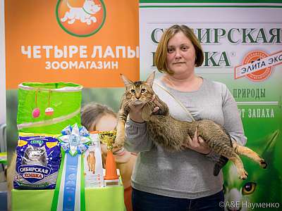 �������� ����� 13-14 ������ 2019 �. ���������� 9-77-0078.jpg