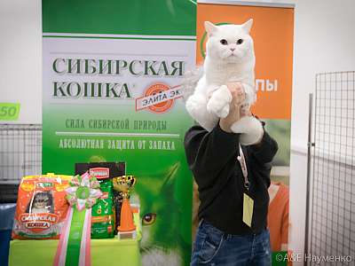 �������� ����� 13-14 ������ 2019 �. ���������� 1-70-0390.jpg