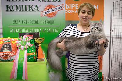 �������� ����� 13-14 ������ 2019 �. ���������� 2-33-0387.jpg