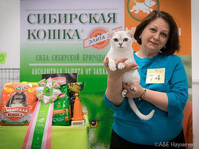 �������� ����� 13-14 ������ 2019 �. ���������� 4-74-0385.jpg