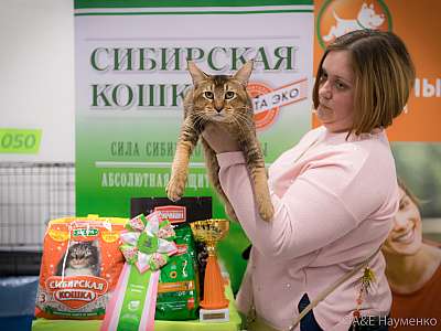 �������� ����� 13-14 ������ 2019 �. ���������� 5-77-0383.jpg