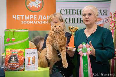 �������� ����� 13-14 ������ 2019 �. ���������� 1-112-0056.jpg