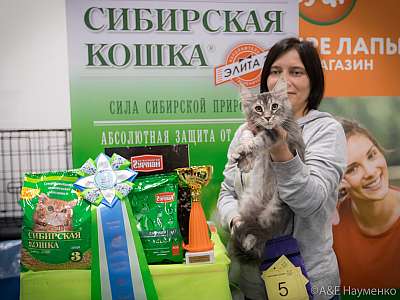 �������� ����� 13-14 ������ 2019 �. ���������� 10-5-0357.jpg