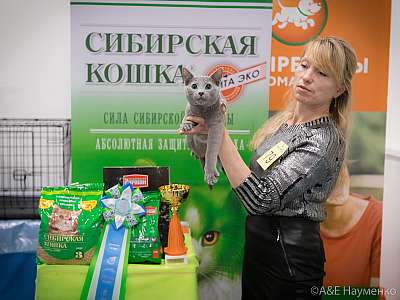 �������� ����� 13-14 ������ 2019 �. ���������� 2-79-0366.jpg