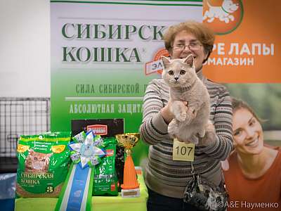 �������� ����� 13-14 ������ 2019 �. ���������� 3-107-0365.jpg