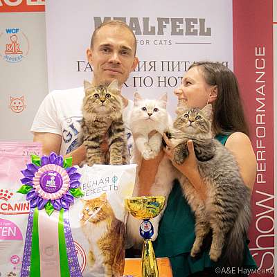 �������� ����� 24-25 ������� 2019 �. ���������� 11-51-0289.jpg