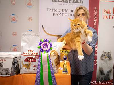 �������� ����� 24-25 ������� 2019 �. ���������� 12-14-0286.jpg