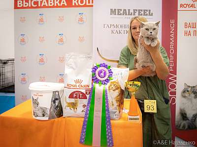 �������� ����� 24-25 ������� 2019 �. ���������� 13-93-0285.jpg