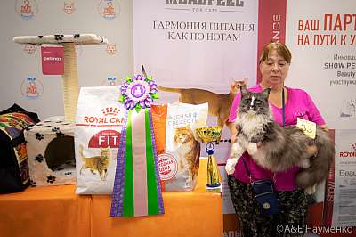 �������� ����� 24-25 ������� 2019 �. 2019 �. ���������� 2-33-0359.jpg