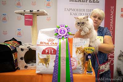 �������� ����� 24-25 ������� 2019 �. 2019 �. ���������� 3-54-0358.jpg