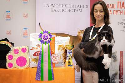 �������� ����� 24-25 ������� 2019 �. ���������� 5-85-0337.jpg