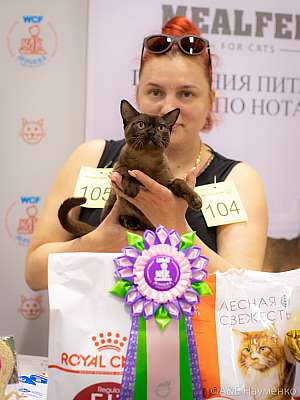 �������� ����� 24-25 ������� 2019 �. ���������� 9-105-0335.jpg