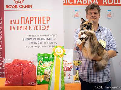 �������� ����� 24-25 ������� 2019 �. ���������� 12-168-0561.jpg