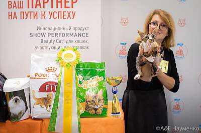 �������� ����� 24-25 ������� 2019 �. ���������� 5-111-0649.jpg