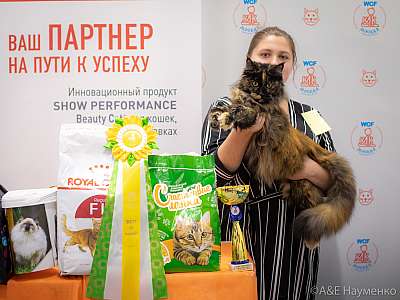 �������� ����� 24-25 ������� 2019 �. ���������� 6-20-0625.jpg