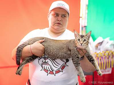 �������� ����� 24-25 ������� 2019 �. ���������� 10-108-0234.jpg