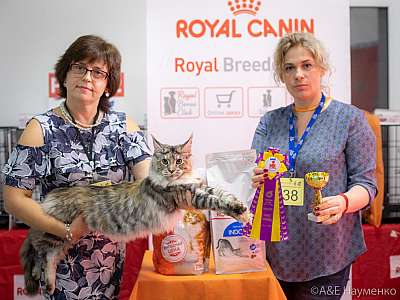 �������� ����� 24-25 ������� 2019 �. ���������� 2-38-0244.jpg