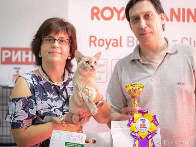 �������� ����� 24-25 ������� 2019 �. ���������� 4-159-0247.jpg